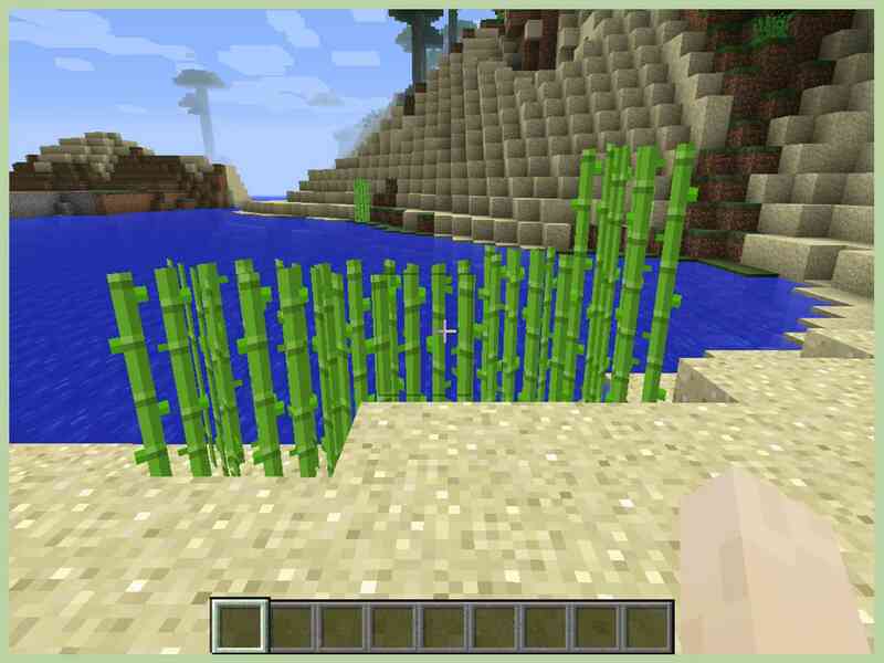 Cómo Plantar Semillas en Minecraft