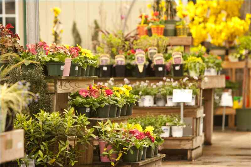 Cómo Escribir un Plan de Negocios para una Tienda de Flores