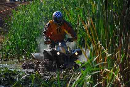 Las especificaciones para un Grizzly 600