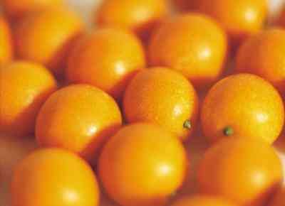 Cómo Secar Toda Naranjas para todo tipo de Manualidades