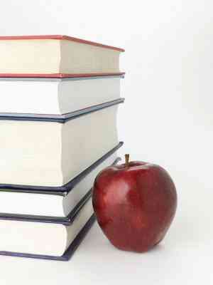 ¿Cuáles Son Algunos Ejemplos de Alusiones para los Profesores?