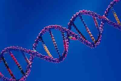 La Biotecnología Ideas De Proyecto