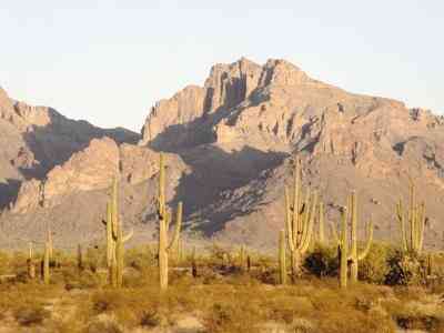 Los nichos en los Desiertos