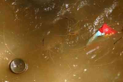 La Contaminación del agua Actividades para los Niños