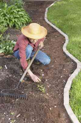 Cómo Utilizar un Soplete para Quemar las malas Hierbas