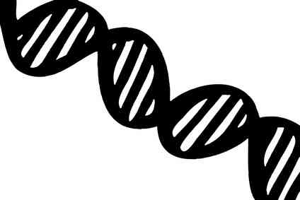 ¿Qué Es la Prueba de Western Blot?