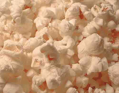 La Diferencia Entre Ordinario De Maíz & De Palomitas De Maíz