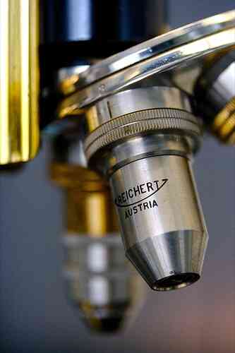 Definición de Ampliación en Microscopía
