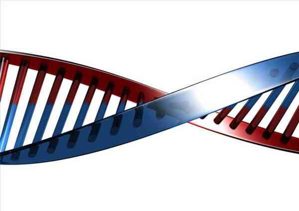 Métodos de Extracción de ADN en Plantas