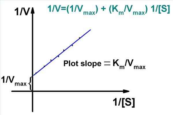 Cómo Calcular Km