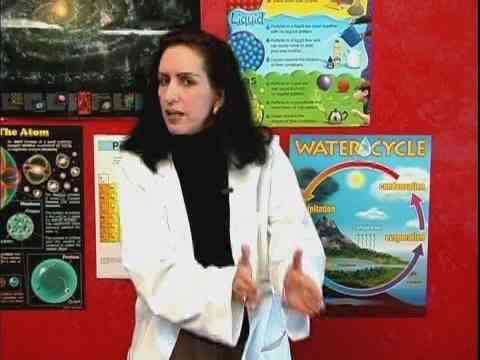 Transferencia de Materia