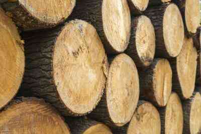 Cómo Secar Madera de Pino