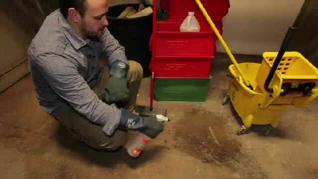 ¿Cómo puedo Limpiar el Moho en los Pisos de Concreto?