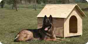 Hacer una casa de perro: el perro de la casa de madera