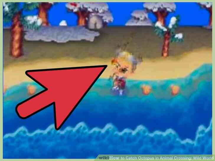 Imagen titulada la Captura de Pulpo en Animales Crossing_ Mundo Salvaje Paso 6