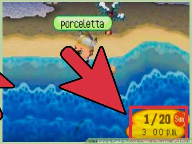 Concurso De Pesca Animal Crossing Wild World