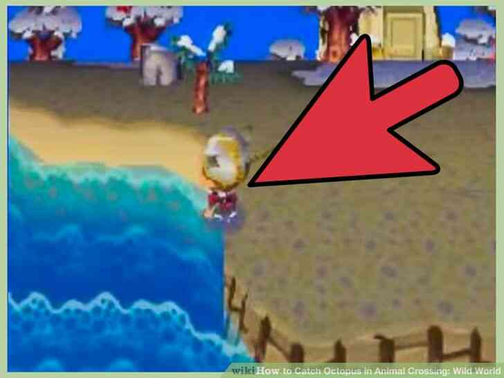 Imagen titulada la Captura de Pulpo en Animales Crossing_ Mundo Salvaje el Paso 3
