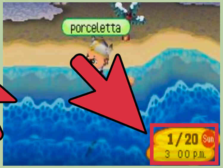 Cómo Coger el Pulpo en Animal Crossing: Wild World