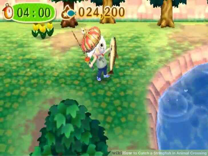 Imagen titulada Coger un Stringfish en Animal Crossing Paso 4