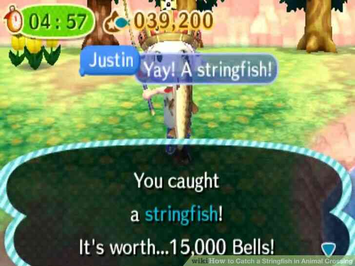Imagen titulada Coger un Stringfish en Animal Crossing Paso 5