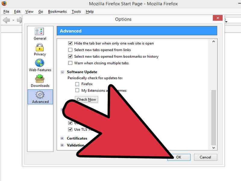 how to revert firefox update