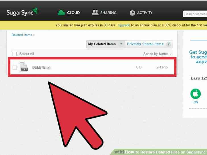 Cómo Restaurar Archivos Borrados en Sugarsync