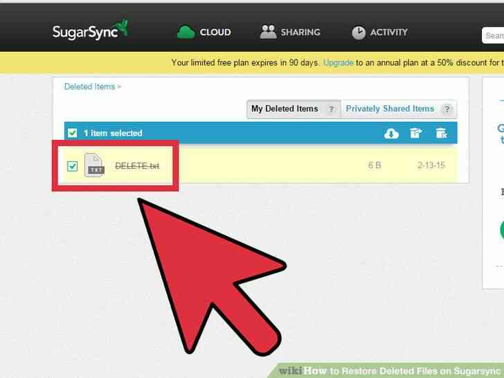 Cómo Restaurar Archivos Borrados en Sugarsync