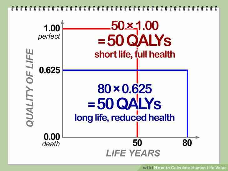 Cómo Calcular el Valor de la Vida Humana