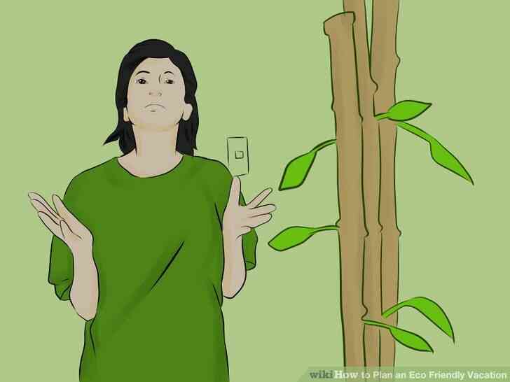 Imagen titulada Plan de un Amistoso de Eco de Vacaciones Paso 11