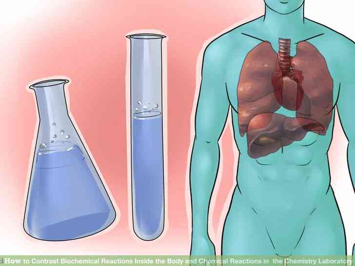 Cómo Contraste de las Reacciones Bioquímicas en el Interior del Cuerpo