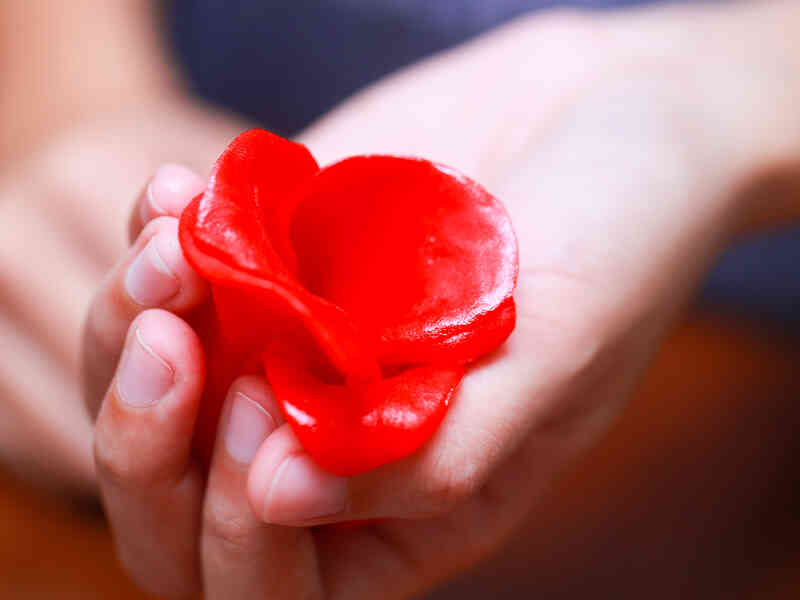 Cómo Hacer Flores de Fondant