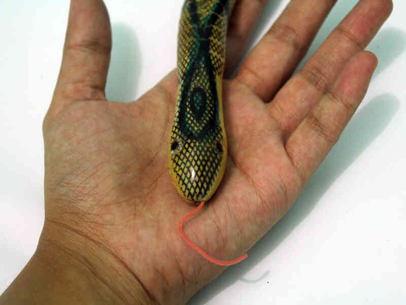 Cómo cuidar de una Serpiente de Juguete