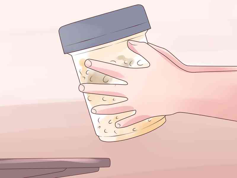 Cómo Cultivar Frijoles Pintos
