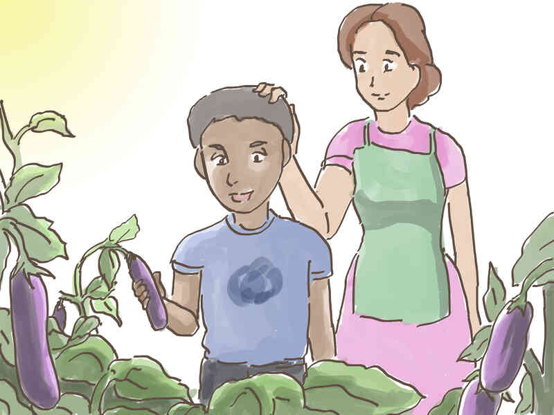 Cómo Elegir Verduras para Crecer
