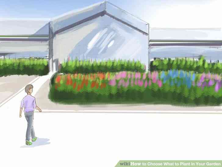 Imagen titulada Elegir Qué Plantar en Tu Jardín en el Paso 5
