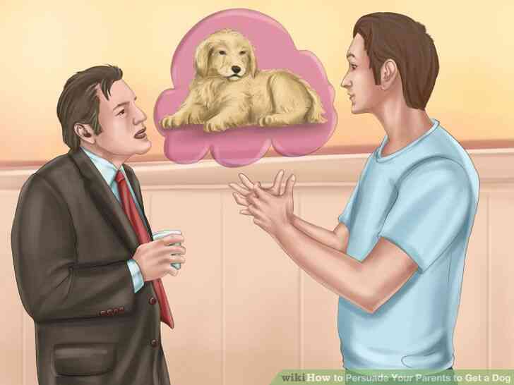 Cómo Convencer a Tus Padres para tener un Perro