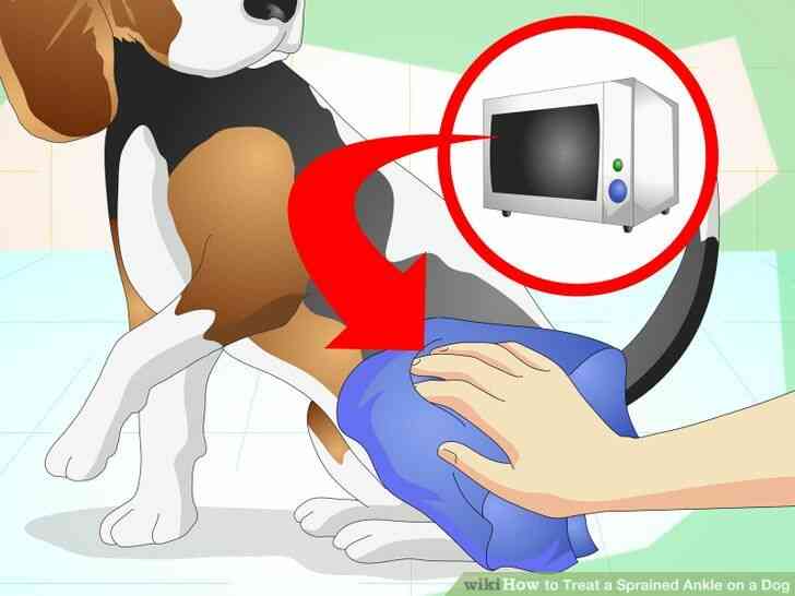 Imagen titulada el Tratamiento de un Esguince de Tobillo en un Perro Paso 8