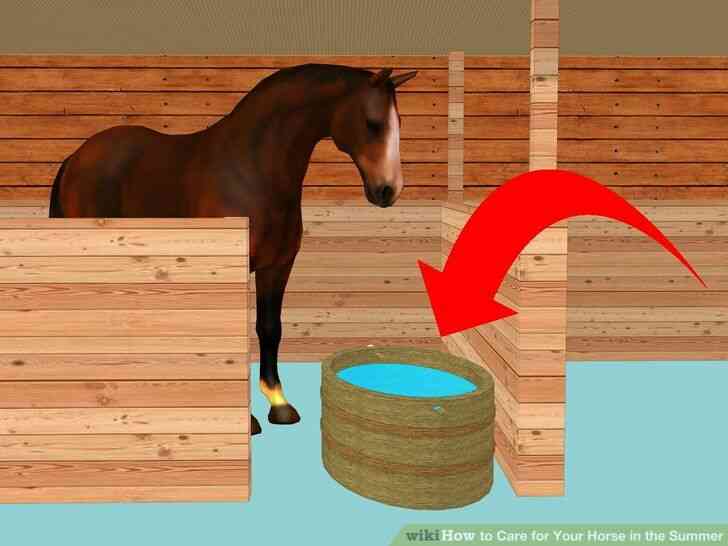 Imagen titulada el Cuidado de Su Caballo en el Verano Paso 1