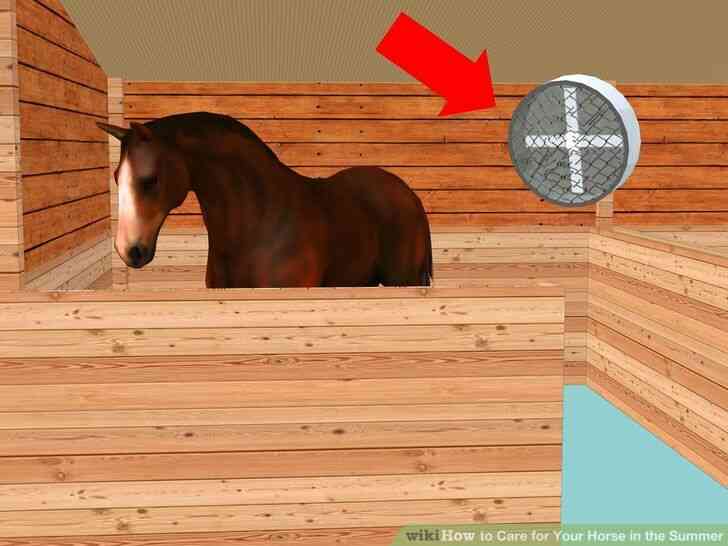 Imagen titulada el Cuidado de Su Caballo en el Verano Paso 6