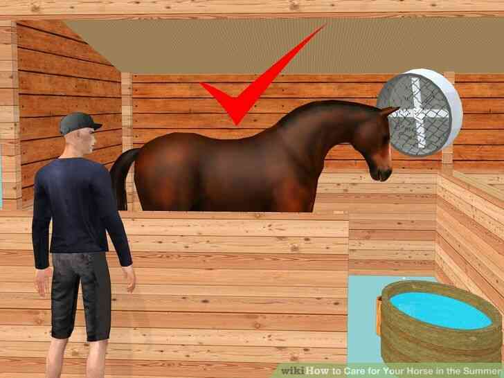 Imagen titulada el Cuidado de Su Caballo en el Verano Paso 7
