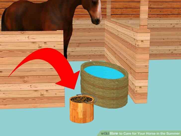 Imagen titulada el Cuidado de Su Caballo en el Verano Paso 2