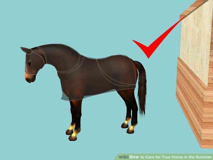 Imagen titulada el Cuidado de Su Caballo en el Verano Paso 4